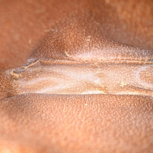 LOUIS VUITTON Mini Amazon Shoulder Bag Monogram Leather Brown - Picture 6 of 16